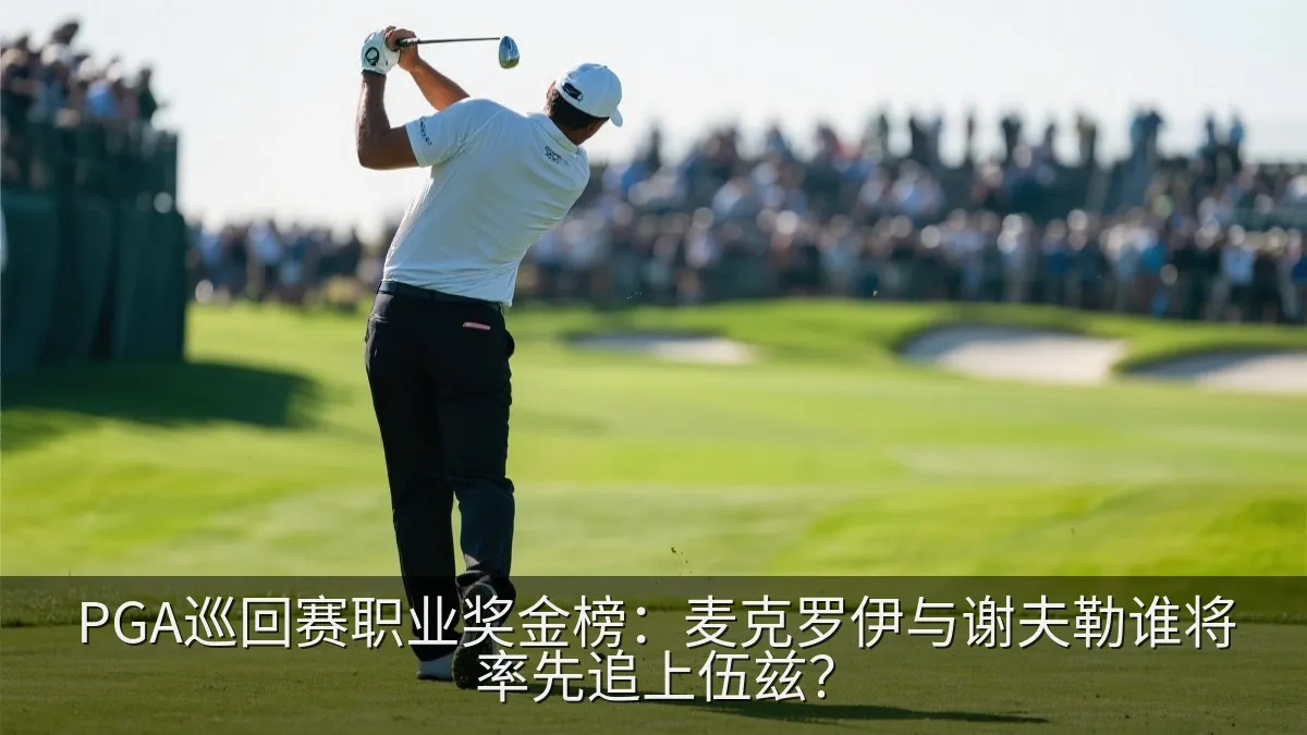 PGA巡回赛职业奖金榜：麦克罗伊与谢夫勒谁将率先追上伍兹？